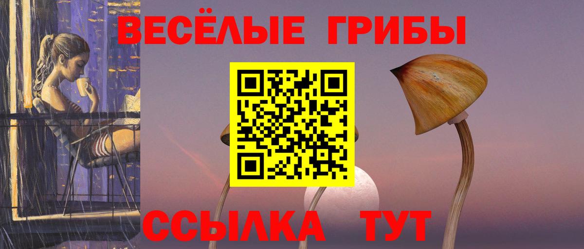 Псилоцибиновые грибы Cubensis  Вход с VPN  Подольск 
